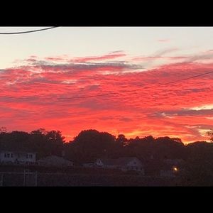 Meet your Posher, Marlon